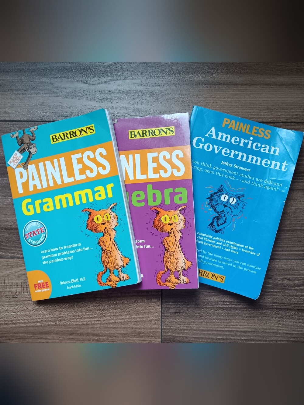Barron's PAINLESS Grammar, Alegbra and American Government Bundle